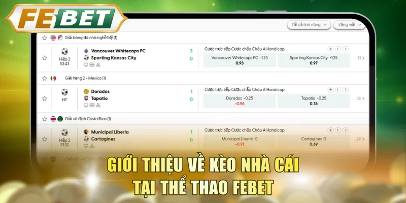 Giới thiệu về kèo nhà cái tại thể thao FEBET